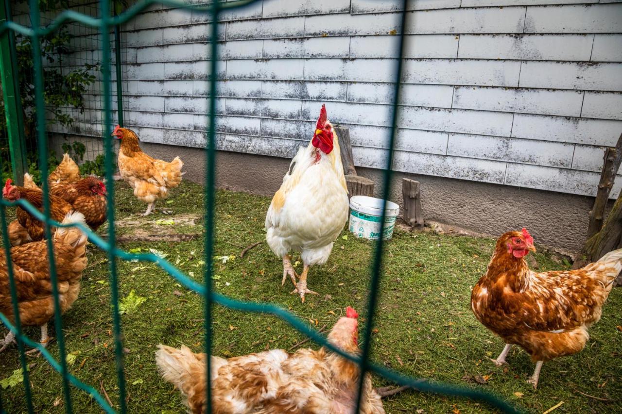 Ferienwohnung Biohof Untergrabenbauer Lidaun Exterior foto